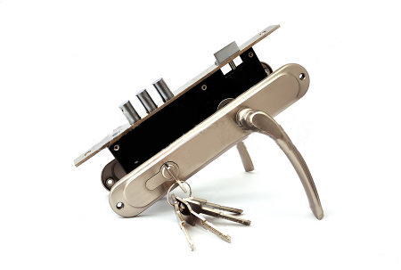 Ford Remote Keys